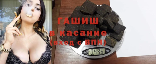 индика Аркадак