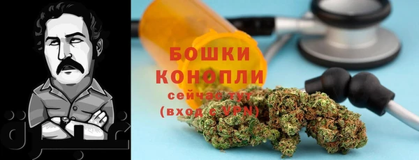 индика Аркадак
