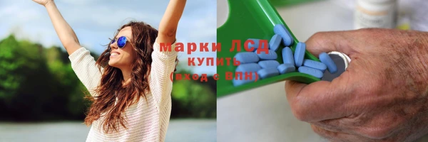 индика Аркадак