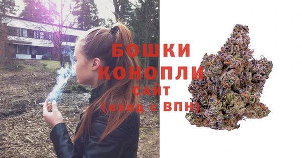 индика Аркадак