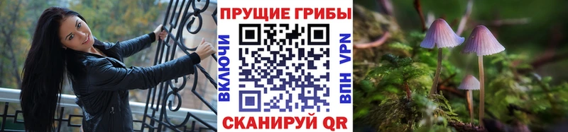 Галлюциногенные грибы Cubensis  Байкальск 